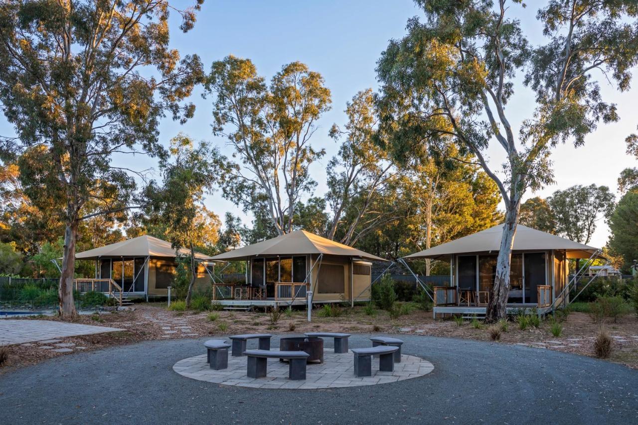 Discovery Parks - Barossa Valley Hotel Tanunda Exterior photo